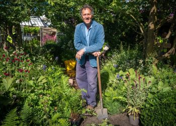 Mindful Gardening: Cultivating Emotional Health Through Nature