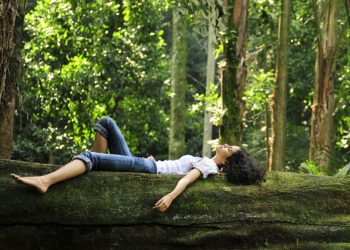 Forest Bathing: Nature’s Role in Holistic Healing