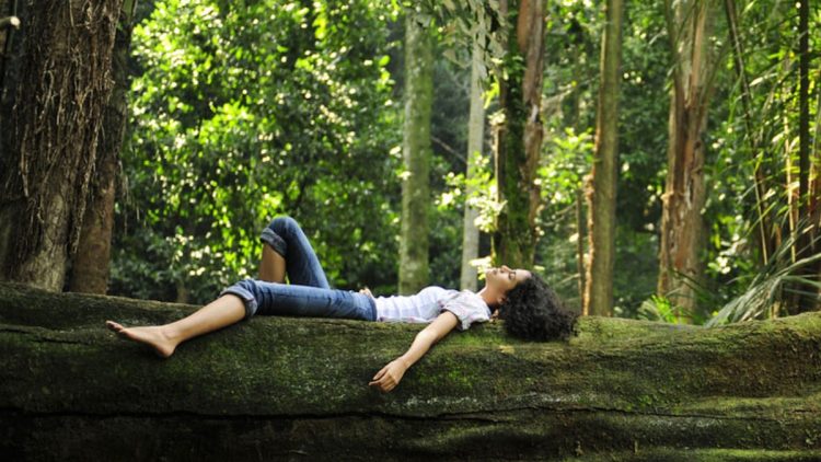 Forest Bathing: Nature’s Role in Holistic Healing