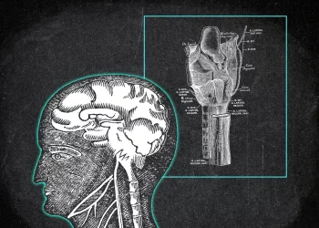 How Does Gut Health Affect Your Mood and Mind?