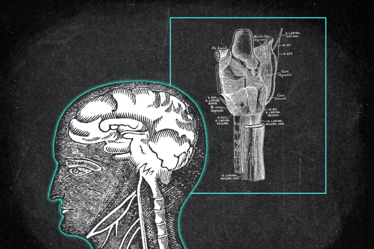 How Does Gut Health Affect Your Mood and Mind?