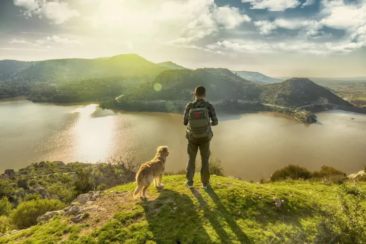 Why Are More People Embracing Slow Living for Emotional Health?