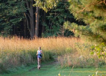 Can You Manifest Emotional Stability?