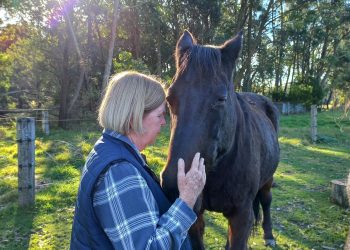 Why Are People Turning to Animal-Assisted Healing for Emotional Harmony?