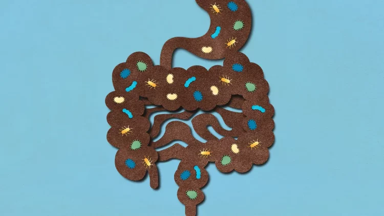 Are Anxiety and Gut Health Secretly Best Friends?