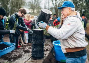 Is ‘Forest Medicine’ the New Superfood? Why Doctors Are Prescribing Nature