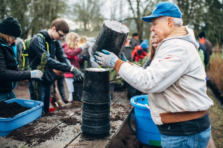 Is ‘Forest Medicine’ the New Superfood? Why Doctors Are Prescribing Nature