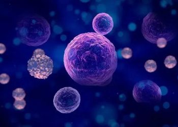 Breakthrough Stem Cell Therapies Are Redefining the Aging Process — Are We Ready to Slow Down Aging?