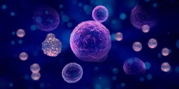 Breakthrough Stem Cell Therapies Are Redefining the Aging Process — Are We Ready to Slow Down Aging?