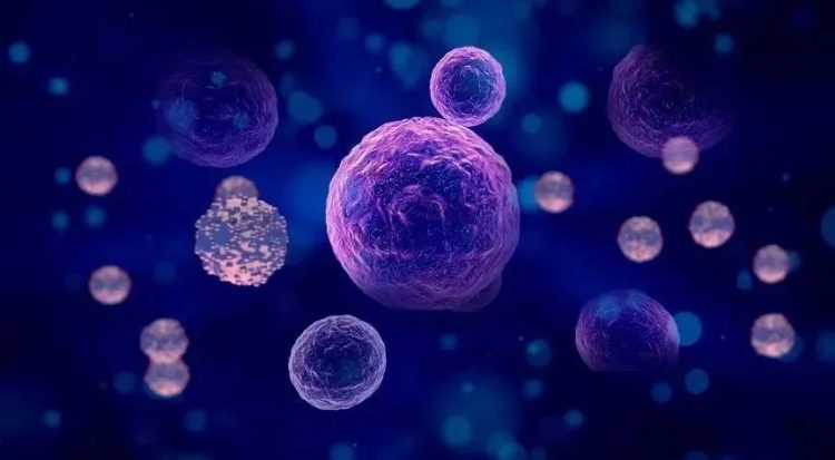Breakthrough Stem Cell Therapies Are Redefining the Aging Process — Are We Ready to Slow Down Aging?