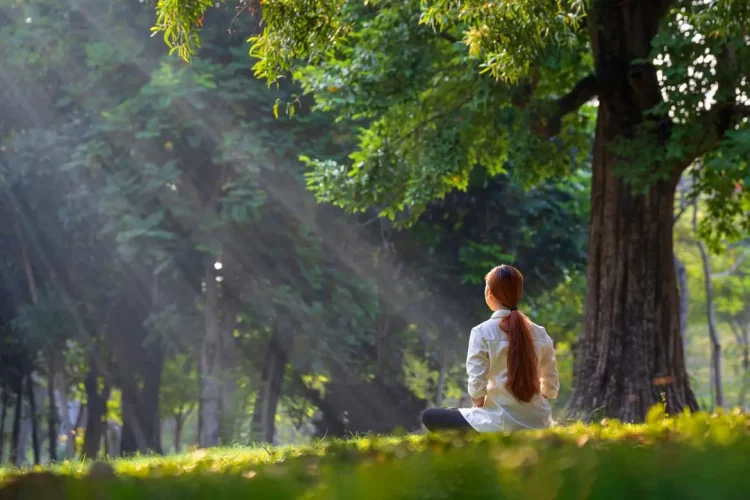 How Can Mindfulness Practice Help You Release Stress and Improve Your Mental and Physical Health?