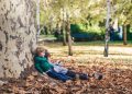 Forest Therapy Is Becoming a Prescription: Can Nature Truly Heal Anxiety and Inflammation?