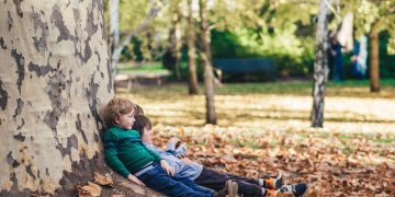Forest Therapy Is Becoming a Prescription: Can Nature Truly Heal Anxiety and Inflammation?